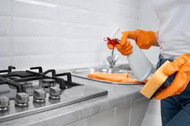Kitchen-Cleaning