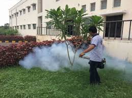 20Pest-Control