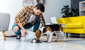 Pet-Care-Services