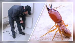Termite-Control-Service