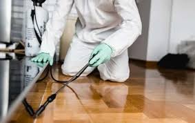 Termite-Control-Service
