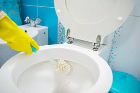 Bathroom-Cleaning